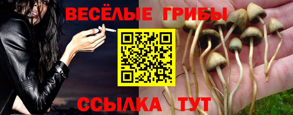 Псилоцибиновые грибы мицелий  Вход с VPN  Добрянка 